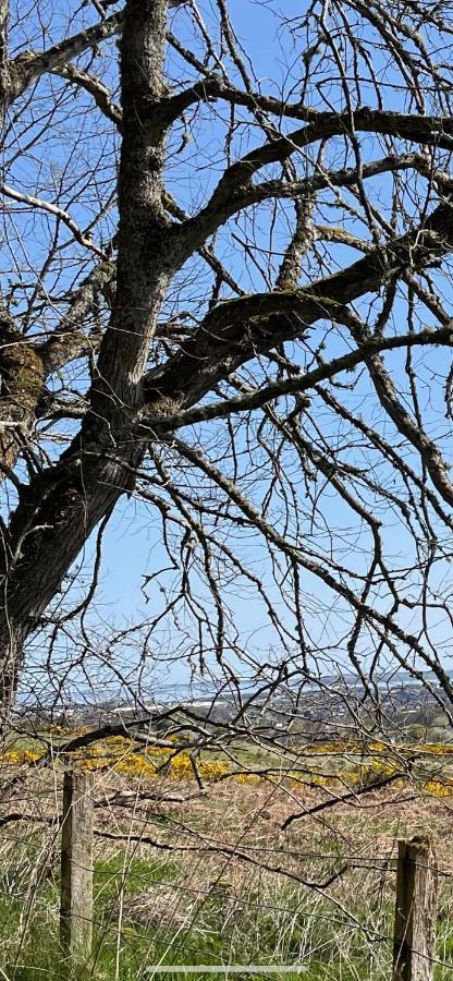 Charleston Apartment Self Catering 5 Min Drive From Town Centre Inverness Buitenkant foto